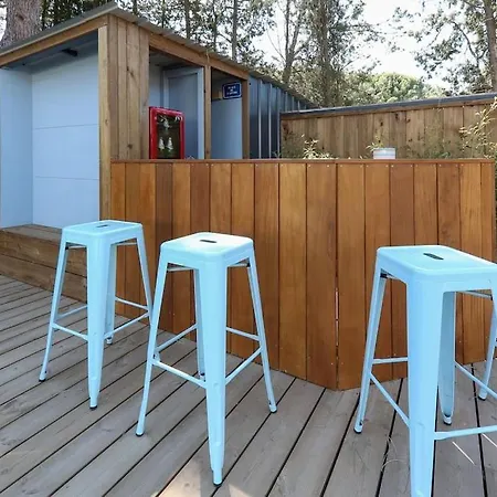 Contemporary House With Heated Pool In A Magnificent Pine Forest