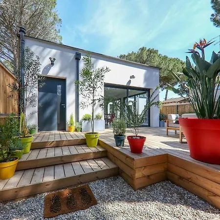 Villa Contemporary House With Heated Pool In A Magnificent Pine Forest