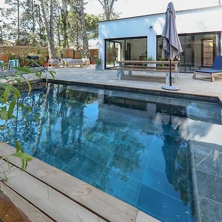 Contemporary House With Heated Pool In A Magnificent Pine Forest