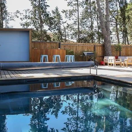 Contemporary House With Heated Pool In A Magnificent Pine Forest * Aigues-Mortes