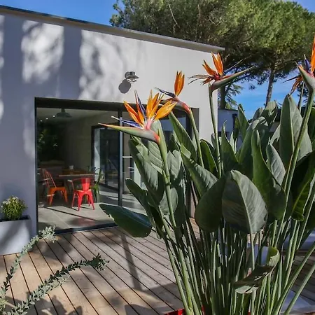 Villa Contemporary House With Heated Pool In A Magnificent Pine Forest *